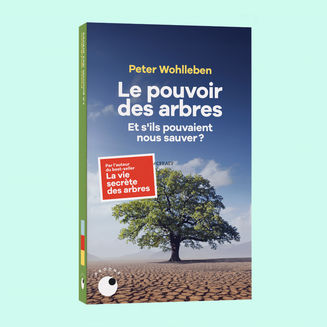 Le pouvoir des arbres - Proche